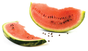 watermelon